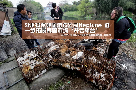 SNK投资韩国游戏公司Neptune 进一步拓展韩国市场‘开云平台’(图1) 开云平台